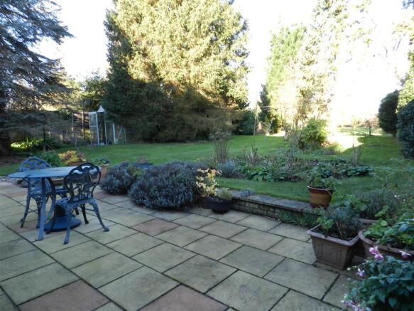 Photo 11