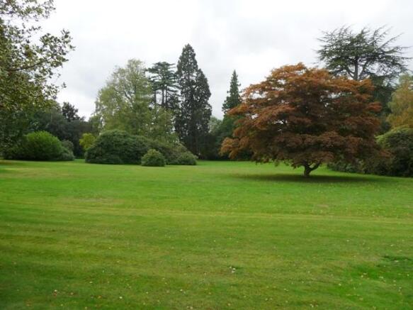 Communal Grounds