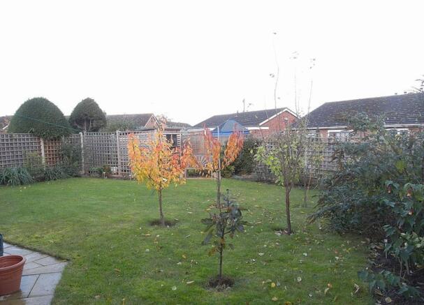 Photo 13