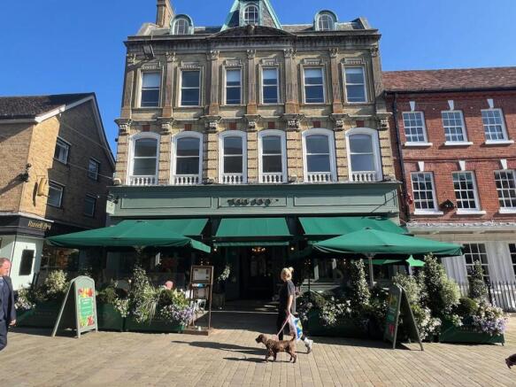 Athenia House Ivy.jpg