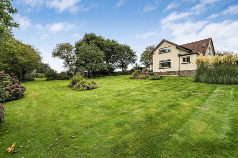 Peters Marland, Torrington