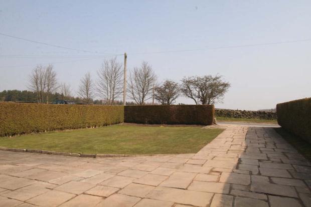 Picture No. 2