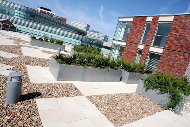 Roof Terrace