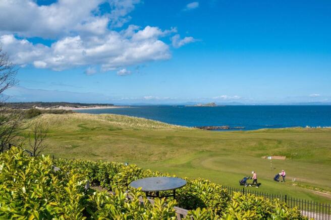 Adjacent Golf Course