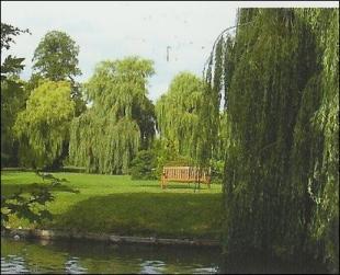 picture 1