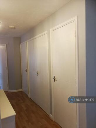 Hall Looking In