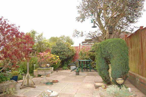 Garden 2