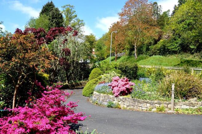 Front garden/drive