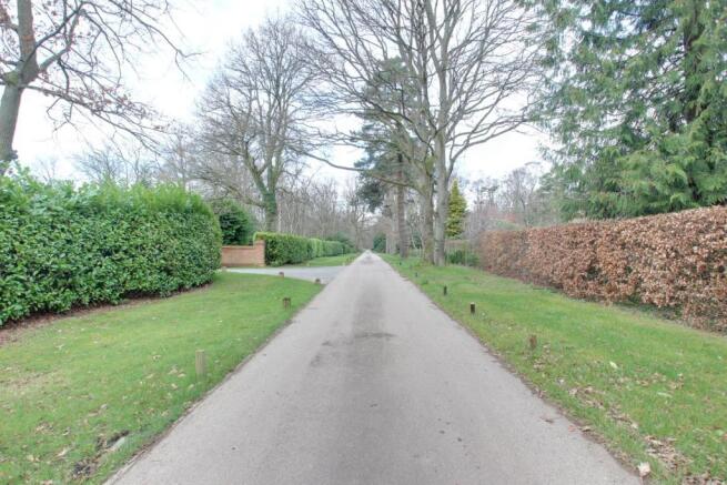 IMG_9046-IMG_9048.jpg