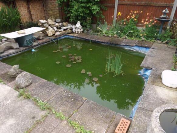 Pond
