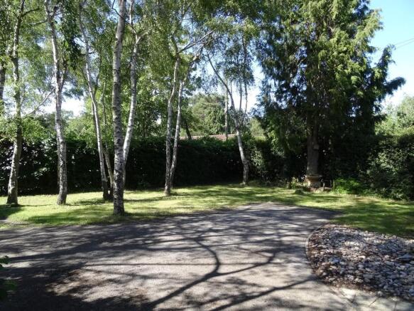 Photo 13