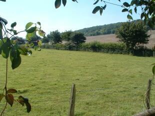 View From Garden