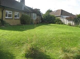 Garden2