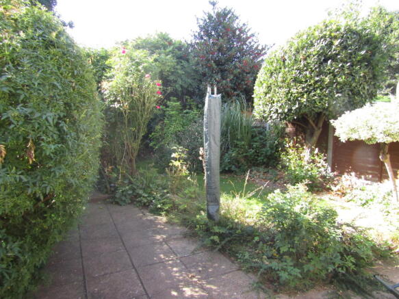 Photo 8
