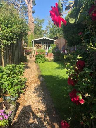 Photo 13