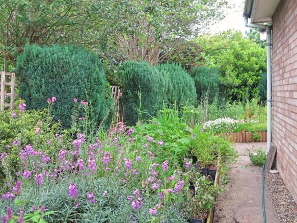 Garden 5.jpg