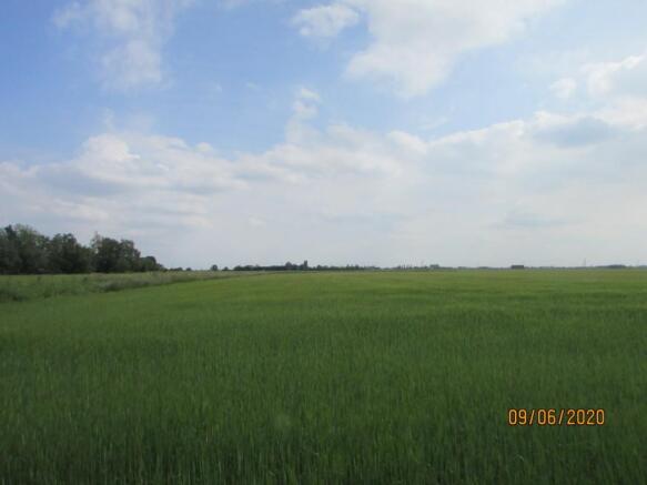 Photo 36