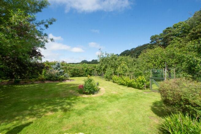 Lawn/Flower Beds
