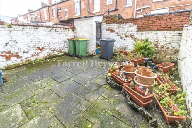 Rear Yard
