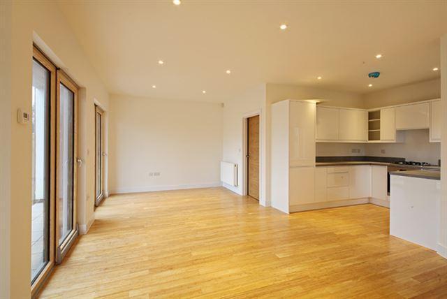 Living / Kitchen Area
