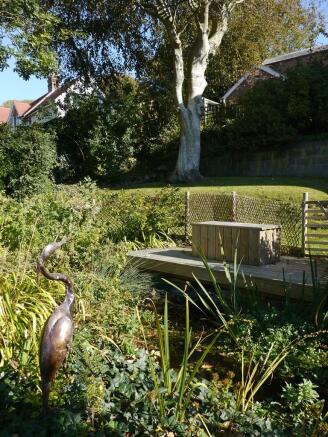 Garden 3