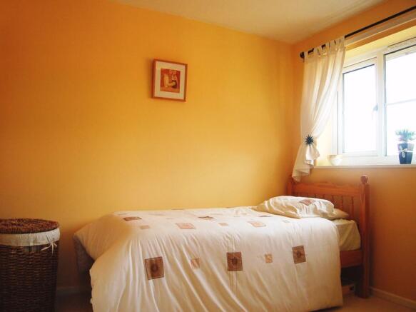 Photograph 6