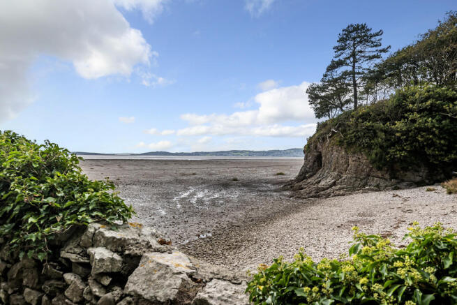 The Cove