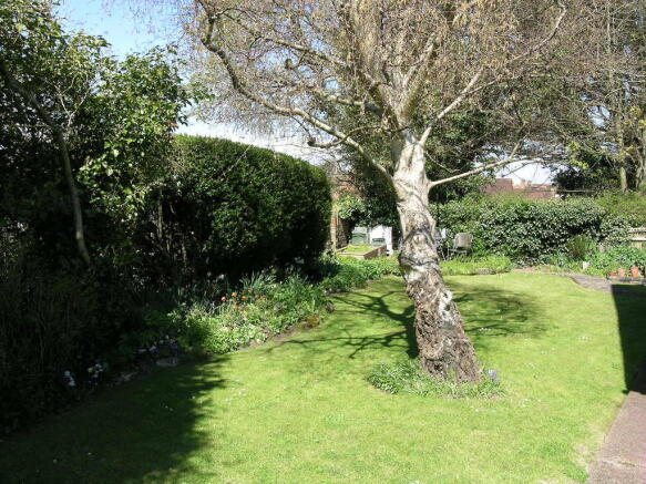 SIDE AREA
