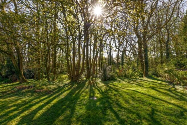 Woodlands