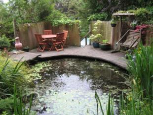Wildlife Garden
