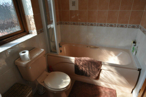 Photo 24