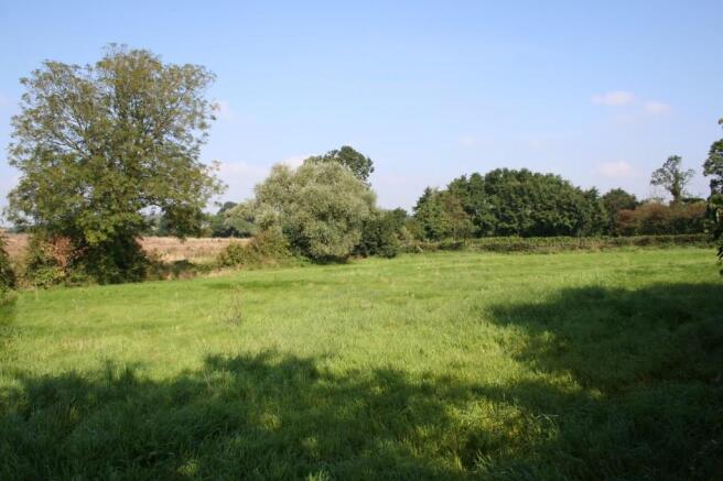 Rear paddock
