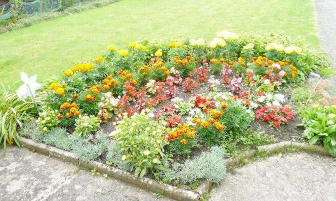 A colourful flowerborder