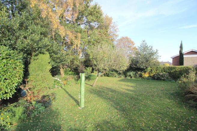 Garden at Back