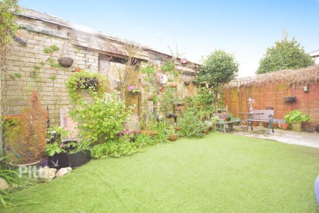 garden 1