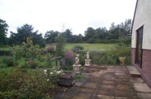 Rear Garden View 2
