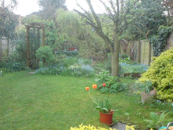 37GWS_garden8.jpg