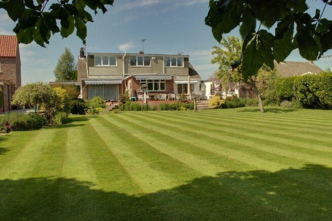 Garden at Back