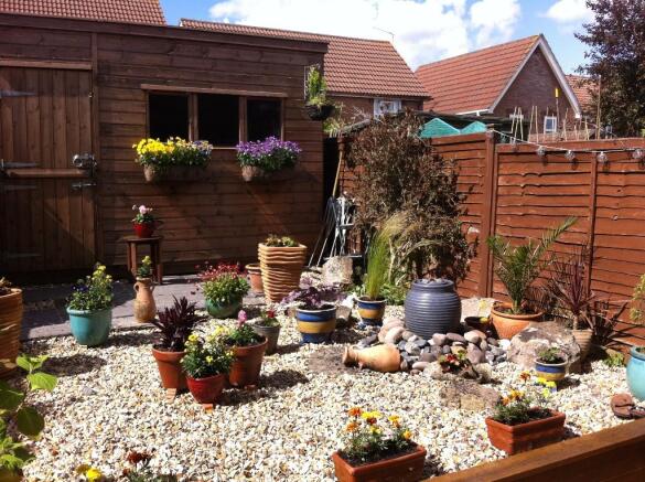 Garden in the summer