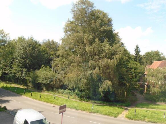 Photo 13