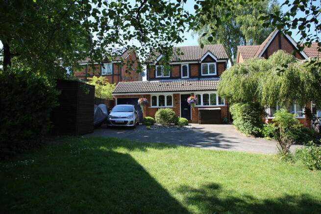 Photo 17