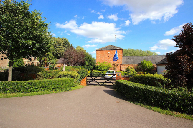 Plot View