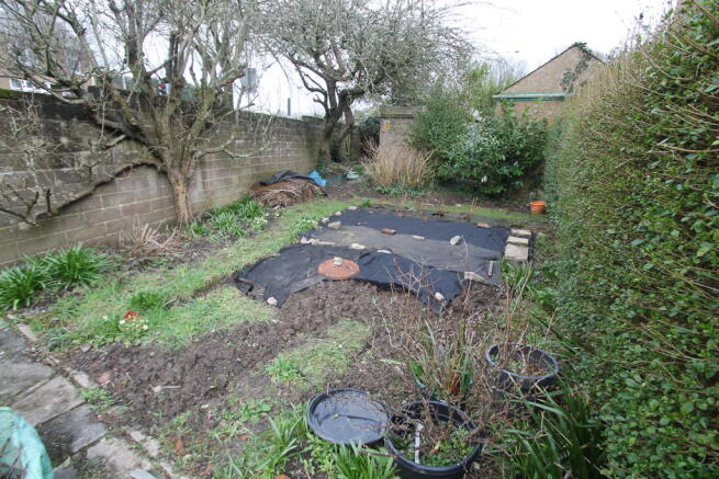 Photo 15