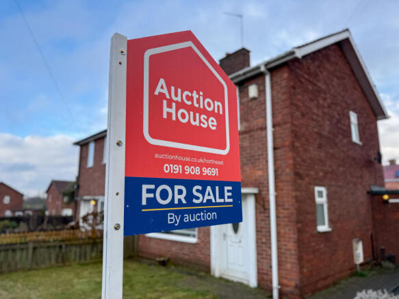 IMG 2637 T202602160846.jpg