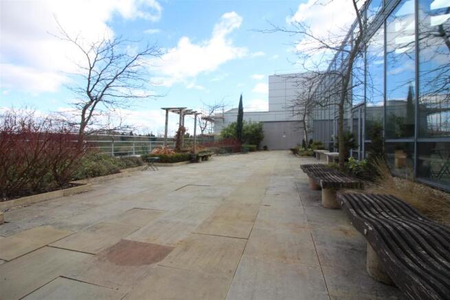 Roof Terrace