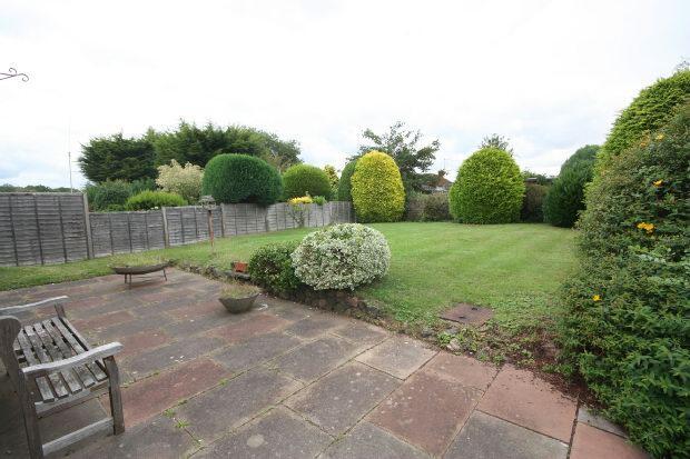 Garden Photograph