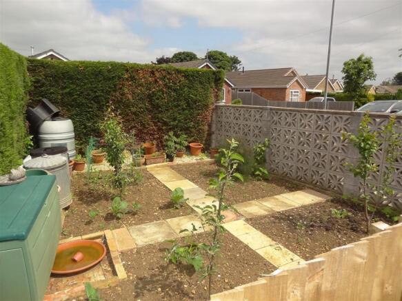 VEG PLOT