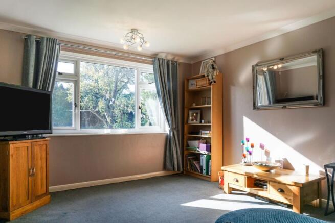 Living Room/Bedroom