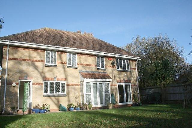 rear garden (Main)