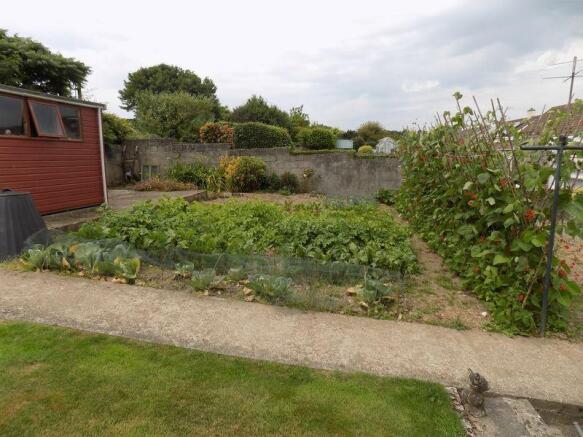 Vegetable Plot